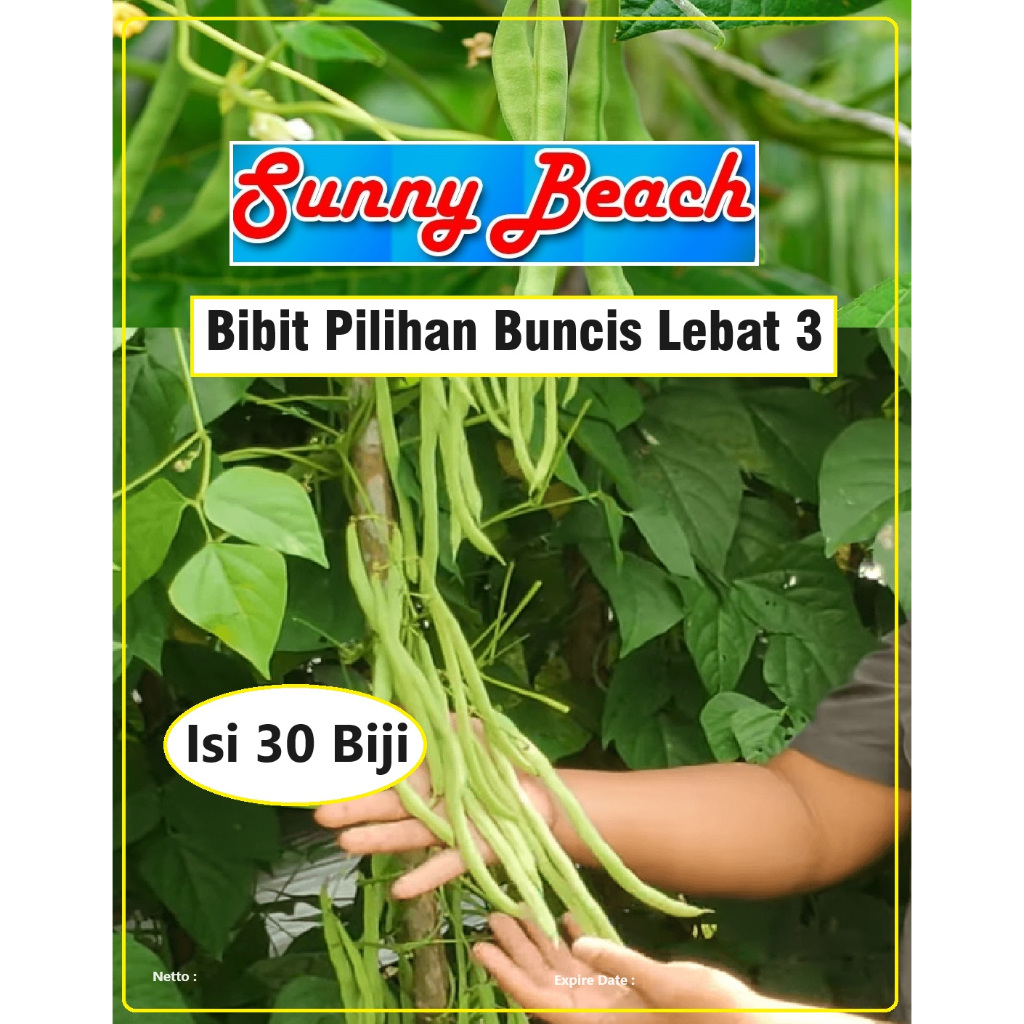 Bibit Pilihan Buncis Lebat 3 | Biji Bibit Buncis Lebat 3