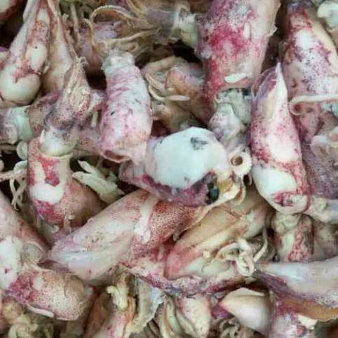 

berkualitas Cumi asin 1 gram