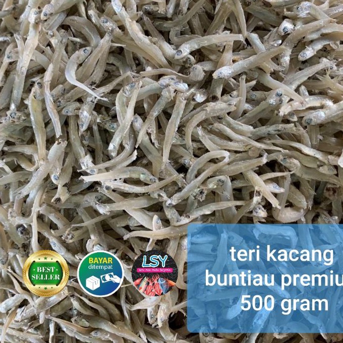 

Hot ikan asin teri kacang buntiau premium 5gr