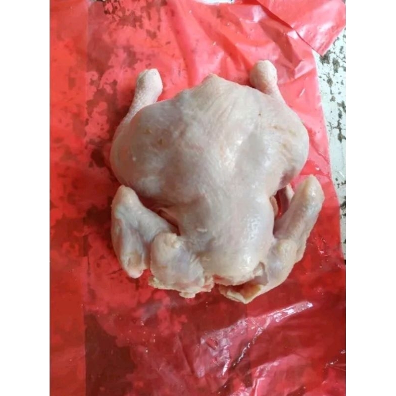 

ayam broiler frozen 500gr/ayam negri murah/ayam potong