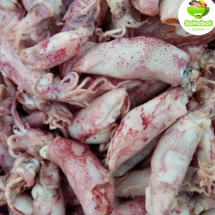 

KI3 Cumi Asin 1 gram Sahabatdapur