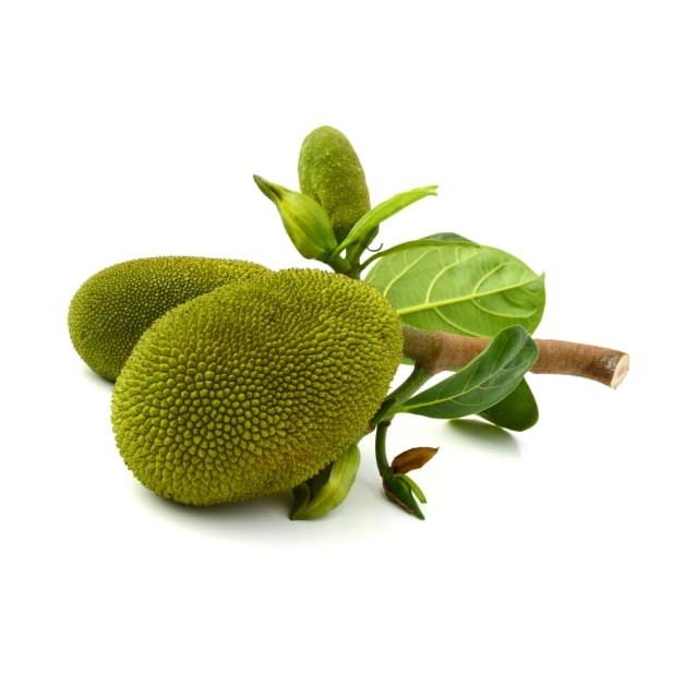 

Nangka Muda Utuh Segar