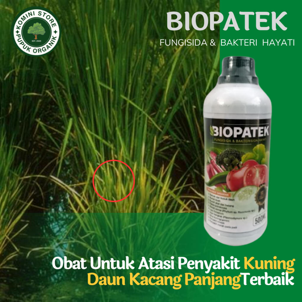 PUPUK BIOPATEK FUNGISIDA PADI KERDIL DAUN KUNING MANJUR Pupuk Padi Daun Kuning/Virus Kuning/Busuk Bu