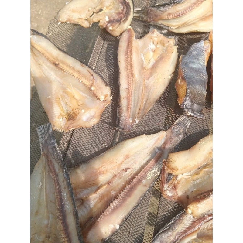 

ikan asin sungai ( patin, silais, toman) 1 kg