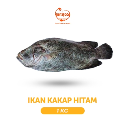 

Daging Ikan Kakap Hitam Potong (tanpa Kepala)