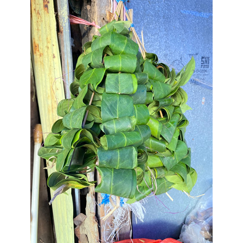 

Daun Salam Hijau/ Daun Salam Basah Makassar/ Sayur ta Makassar