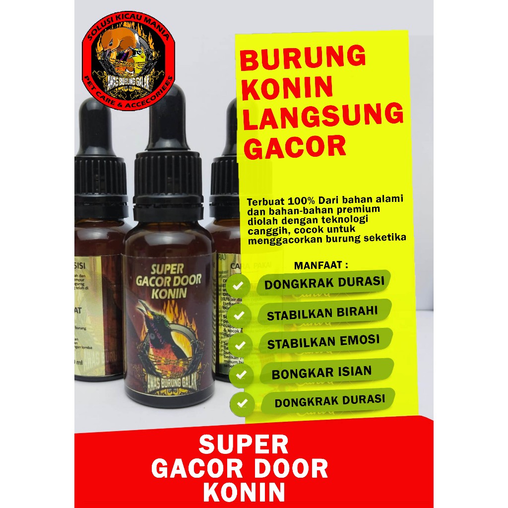 SUPER GACOR DOOR KONIN PENGGACOR SEKETIKA