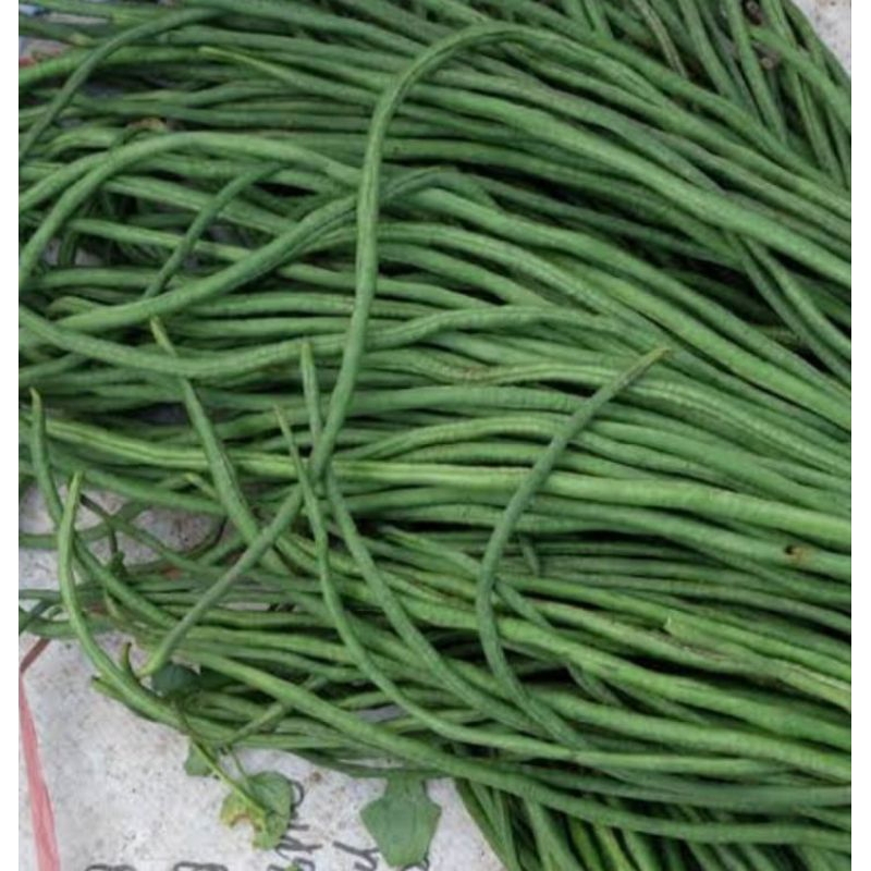 

KACANG PANJANG /250 g