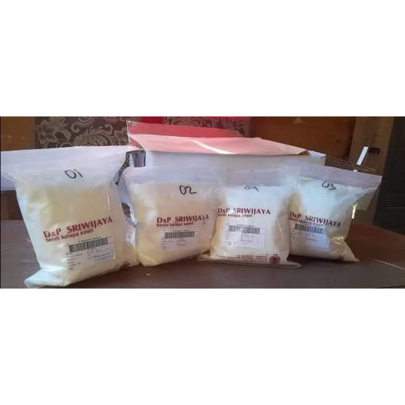 Benih kelapa sawit original DxP Sriwijaya semiklon