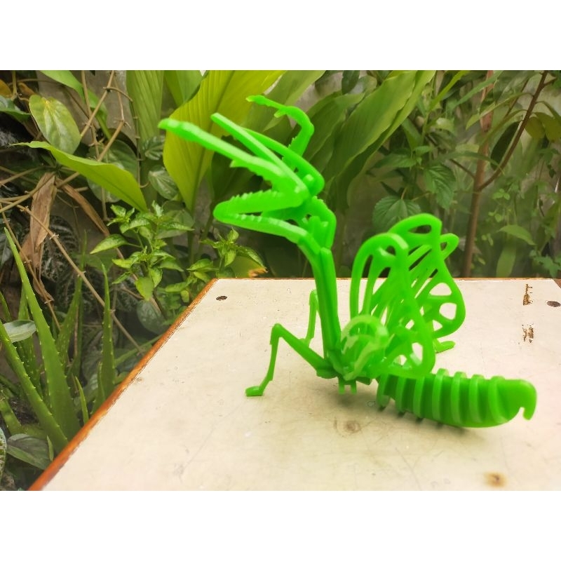 puzzle diy belalang sembah