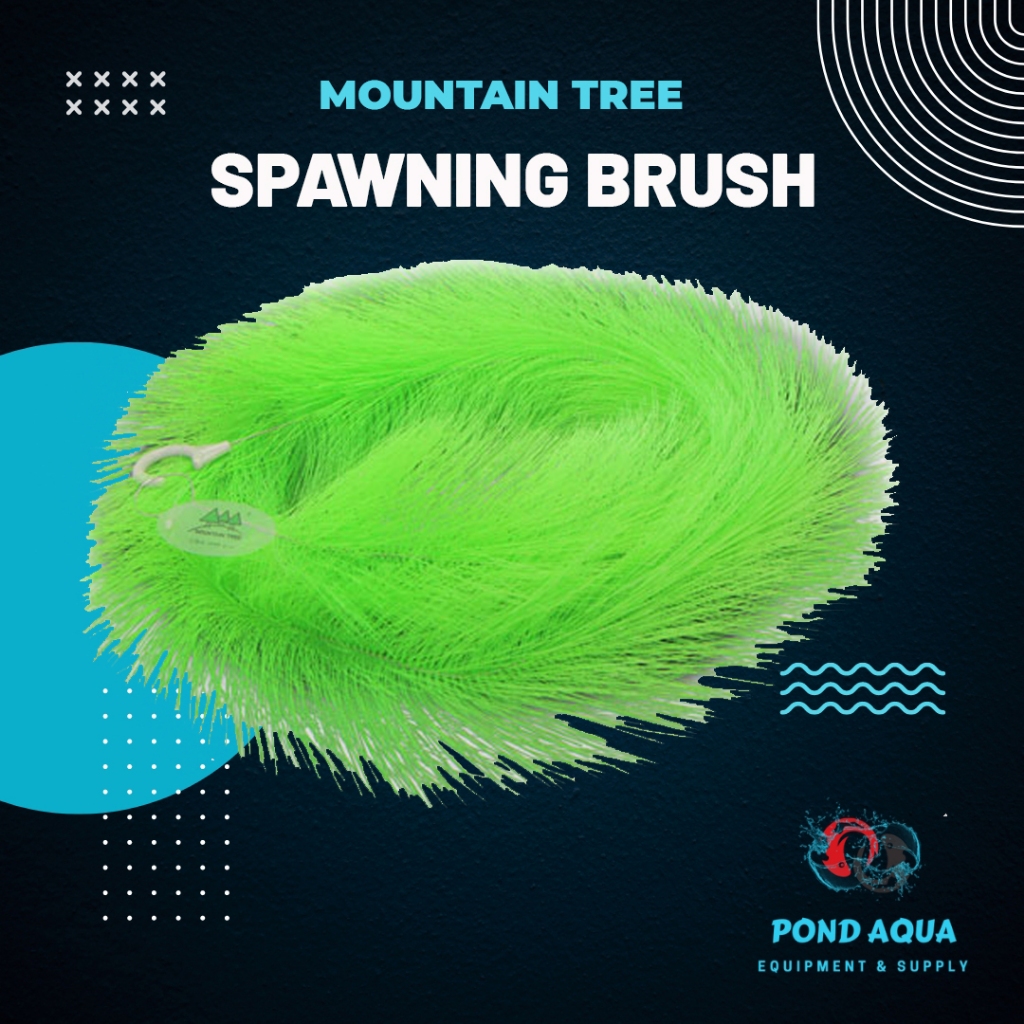 Harga spawning rope Terbaru Sep 2024 |BigGo Indonesia