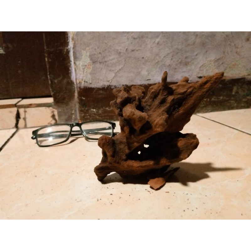kayu aquascape pul tenggelam