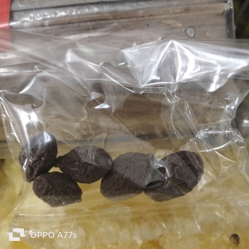 

bunga tempayang asli isi 5bj