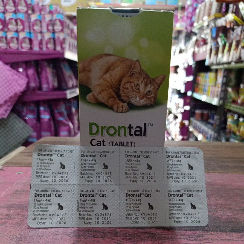 Drontal cat