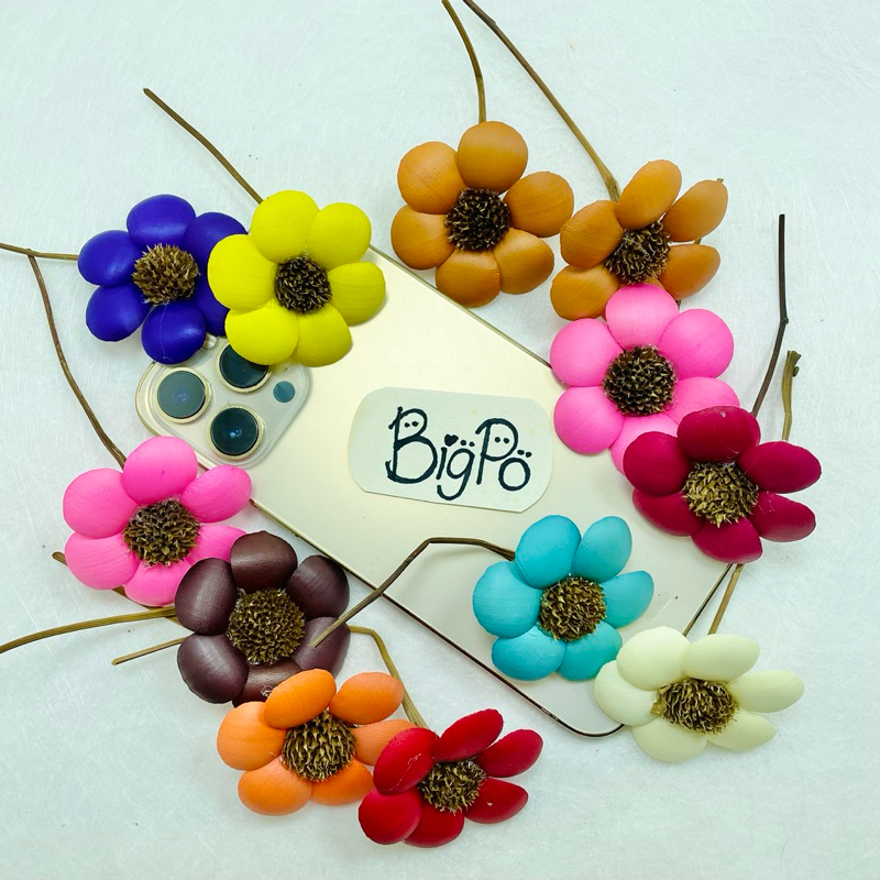 BUNGA DAISY KERING / DRIED FLOWER Bunga Lontar Bunga Klobot