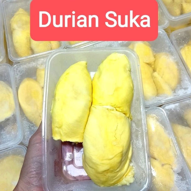 

KKX635 XC26619 Durian Montong Palu Parigi Super Premium Grade AAA