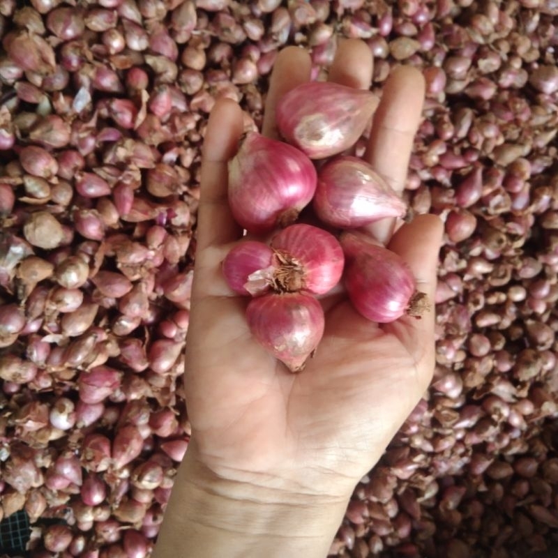 

(1 kg)bawang merah , super besar campur kering ..