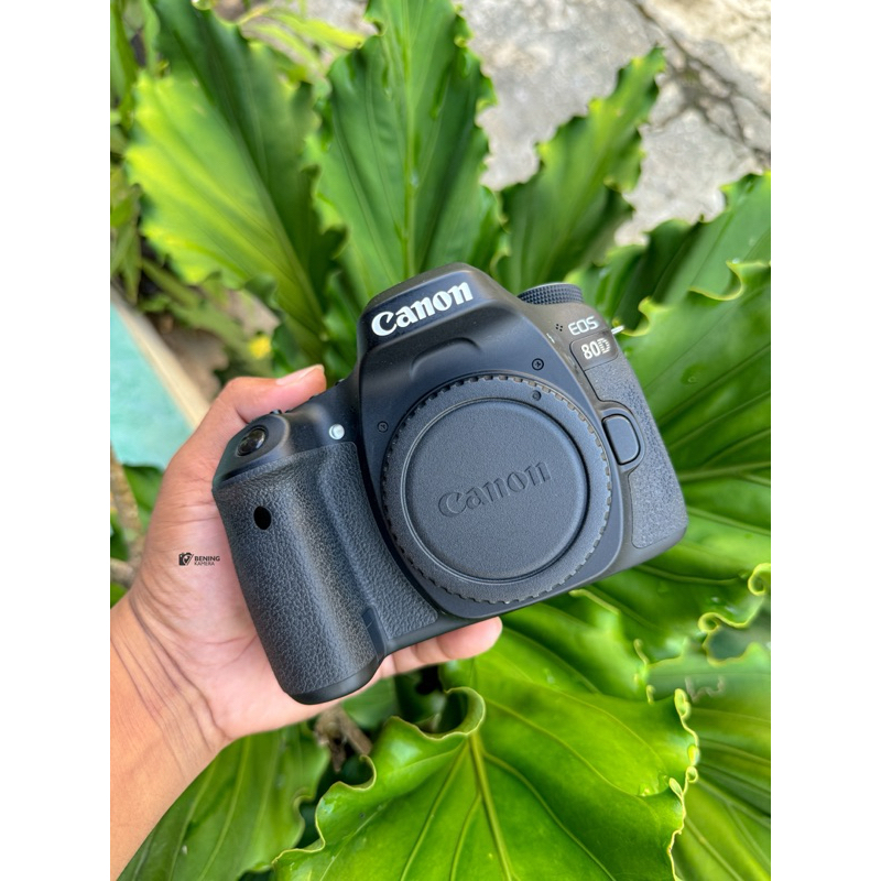 canon 80D body only