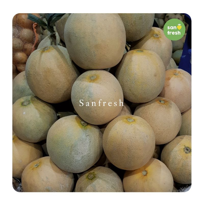 

Melon Manis dan Segar - Sanfresh