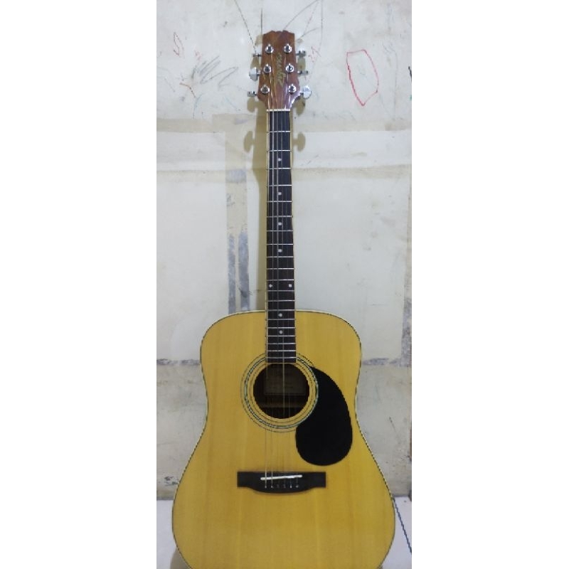 Gitar Akustik Elektrik Segovia D-07 GN