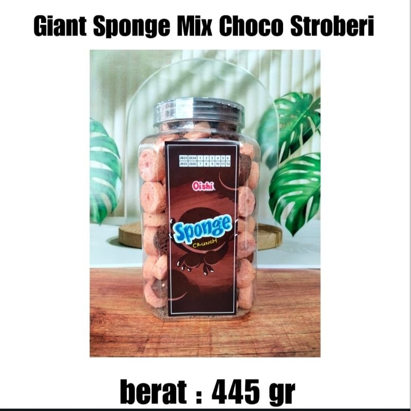 

giant sponge