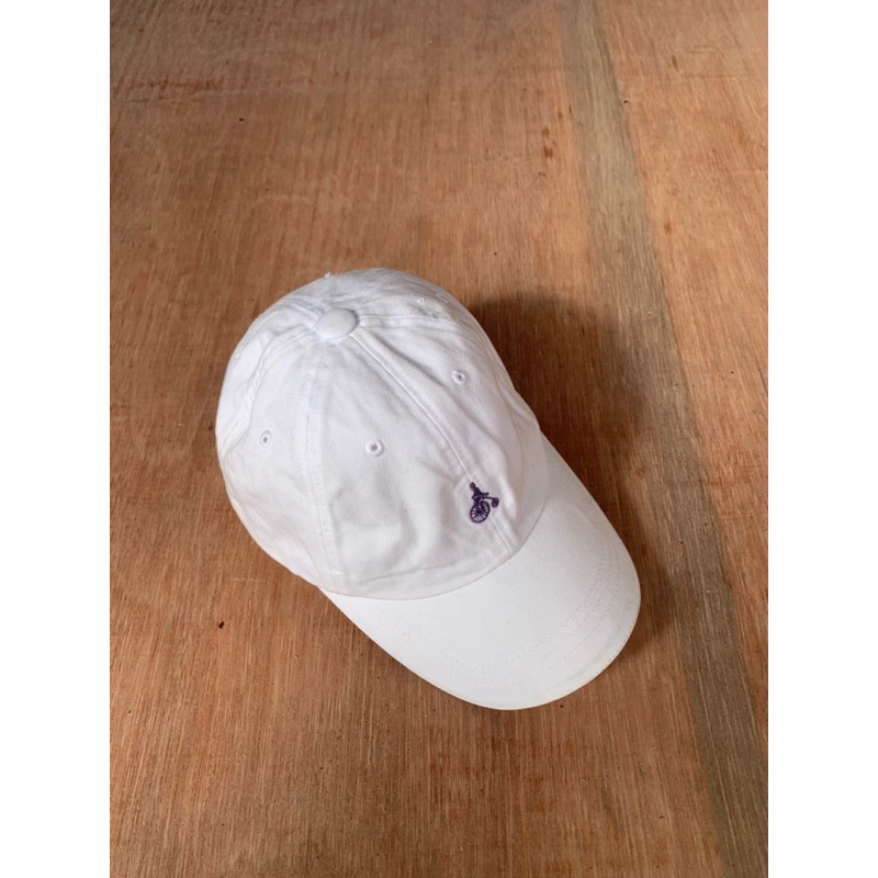 topi bean pole