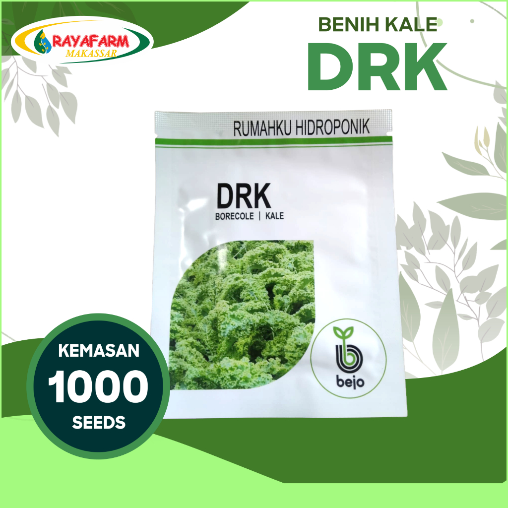 Benih Kale DRK Bejo Seed - Isi 1000 Seed