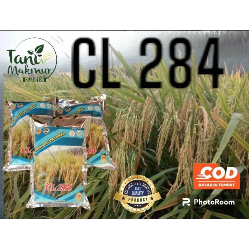 Benih padi Cl 284, KEMASAN 1kg