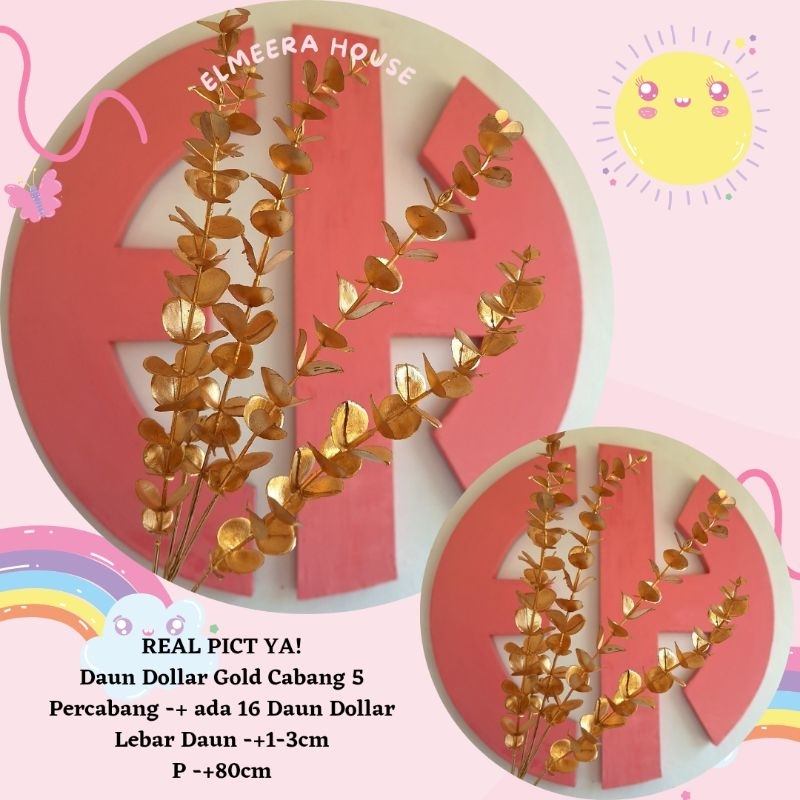 Daun Dollar Gold (Foto Asli)