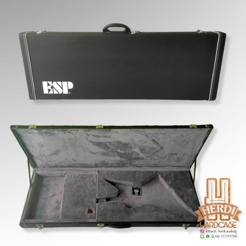 Hardcase Flying V , Explorer , Firebird ( gibson, esp, epiphone)