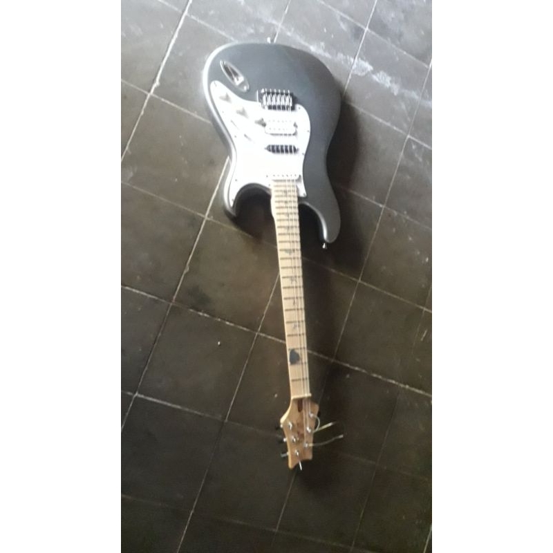 gitar listrik custom merk prs