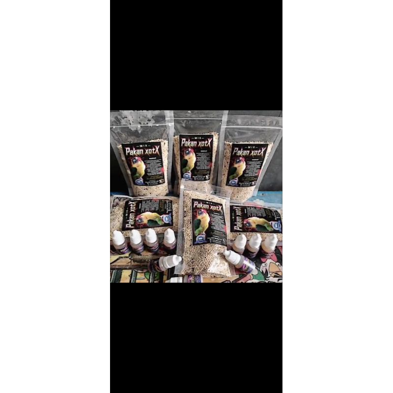 PAKAN BURUNG LOVEBIRD DEWASA DAN BALIBU XOTX UNTUK LOVEBIRD DEWASA DAN BALIBU