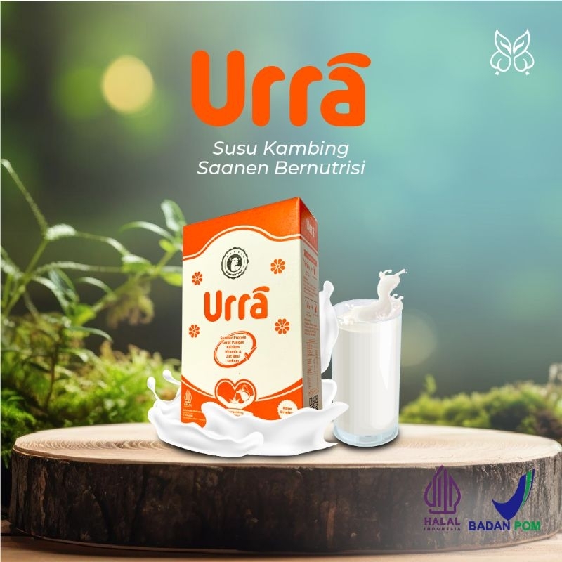 

SUSU URRA - Susu kambing Saneen Eropa menambah berat badan dan tinggi badan anak