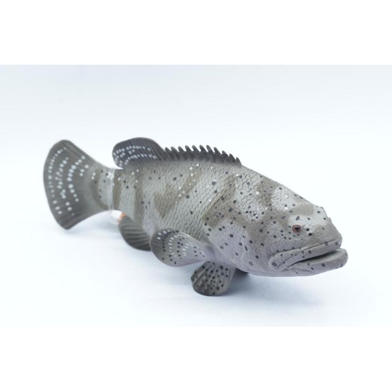 Goliath Grouper Ikan Fish Atlantic Animal Figure Binatang Mainan Edukasi Anak Miniature