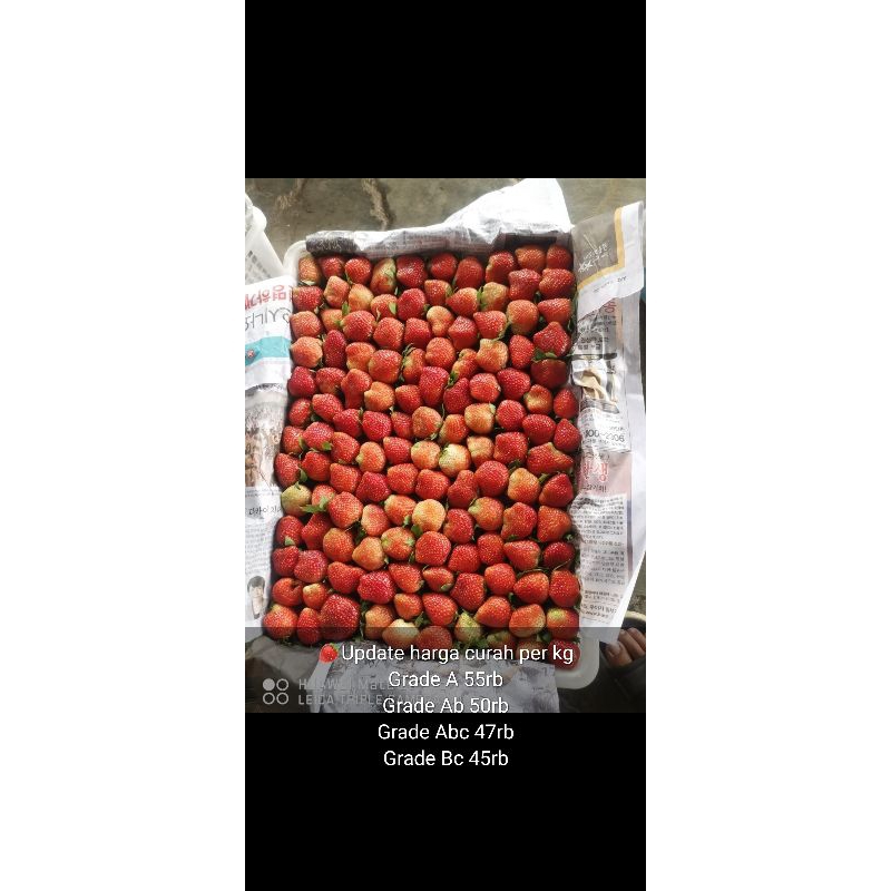 

strawberry pinkStore