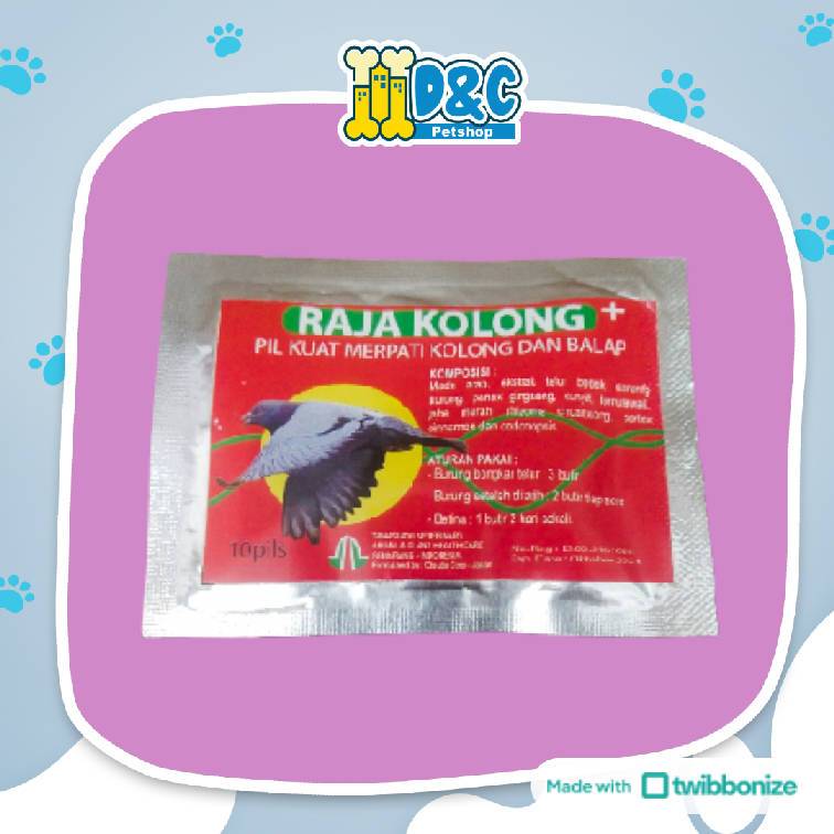 RAJA KOLONG 10 KAPSUL - OBAT KUAT MERPATI BALAP KUAT TERBANG