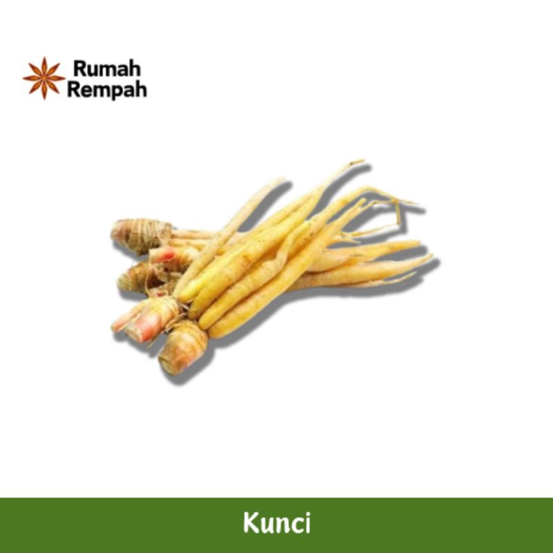 

Temu Kunci/Sayur Kunci