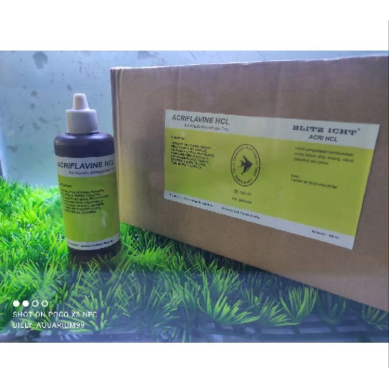 Acriflavine HCL BPC 100ml Obat Jamur Ikan HCL 100 CC