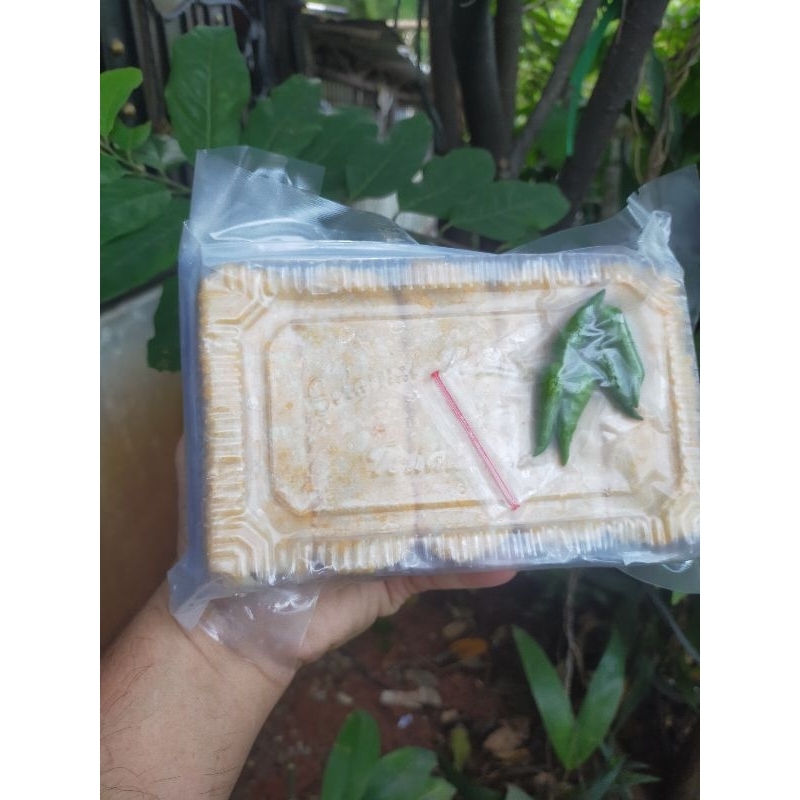 

RB Risol Sayur Vegan