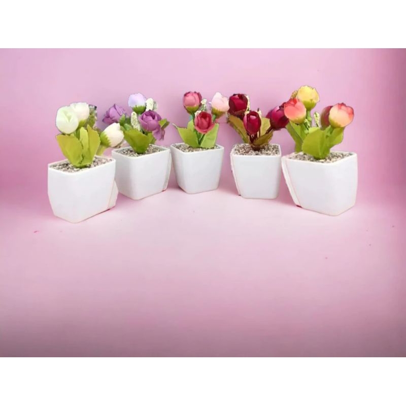 Bunga bongsai Kelereng ( Mini )