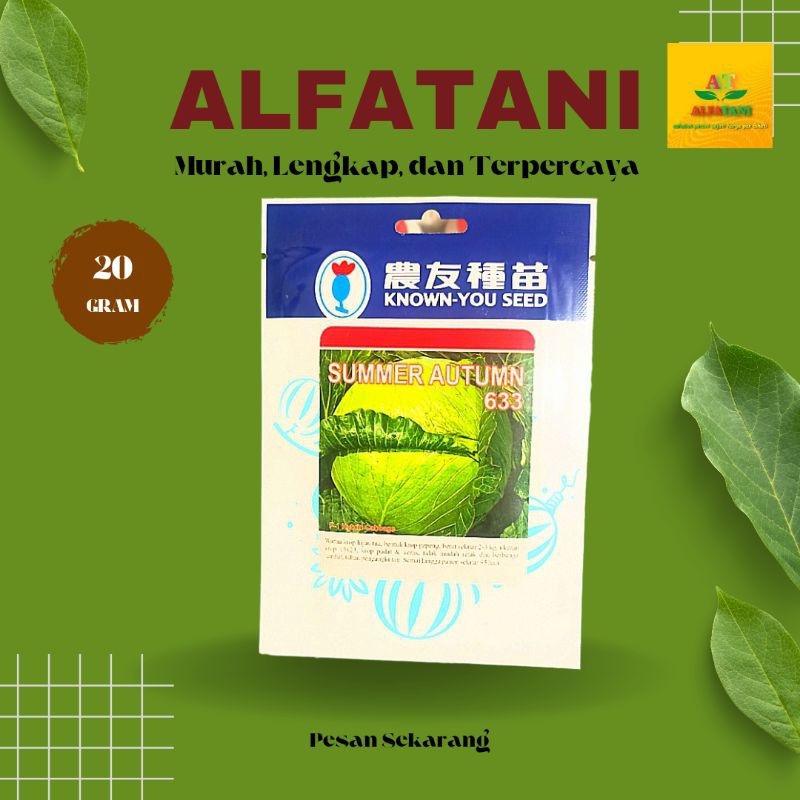 Benih Kubis Summer Autumn 20gram