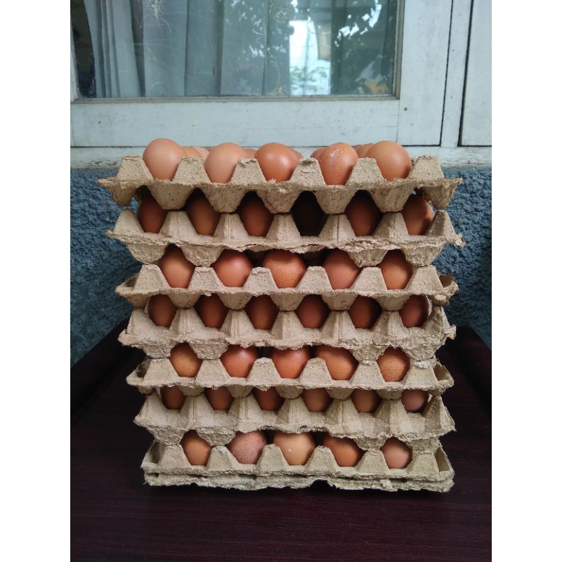 

Telur Ayam Negeri 1kg