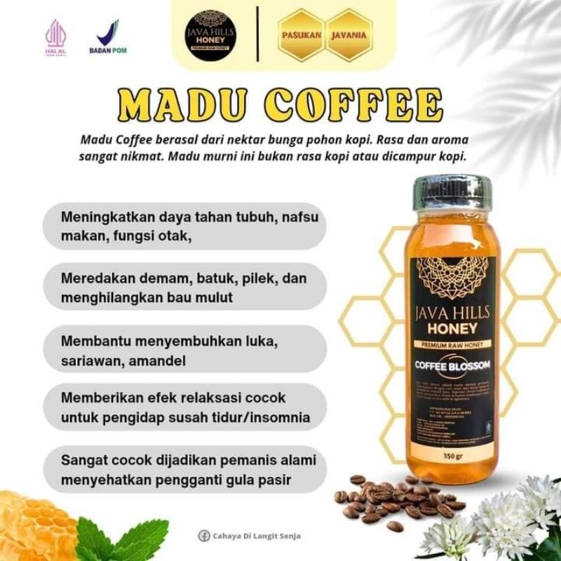 

madu murni coffee blossom java hills honey