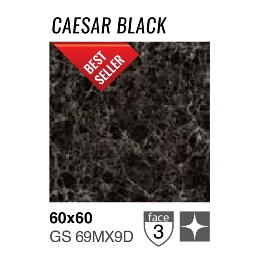 GRANIT GARUDA UNTUK LANTAI DAN DINDING UKURAN 60x60 CAESAR BLACK