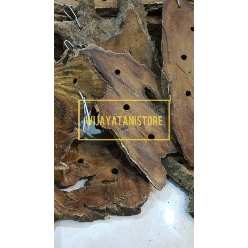 Papan Resede Anggrek | Papan Tempel Anggrek | Kayu Resede Anggrek | Media Anggrek