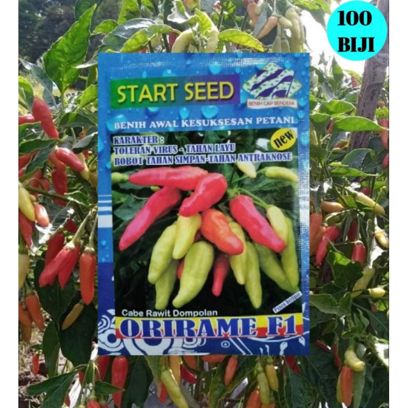 100 Biji Cabe Orirame F1 | Cabe Dompolan Orirame Star Seed | Benih Cabai Rawit