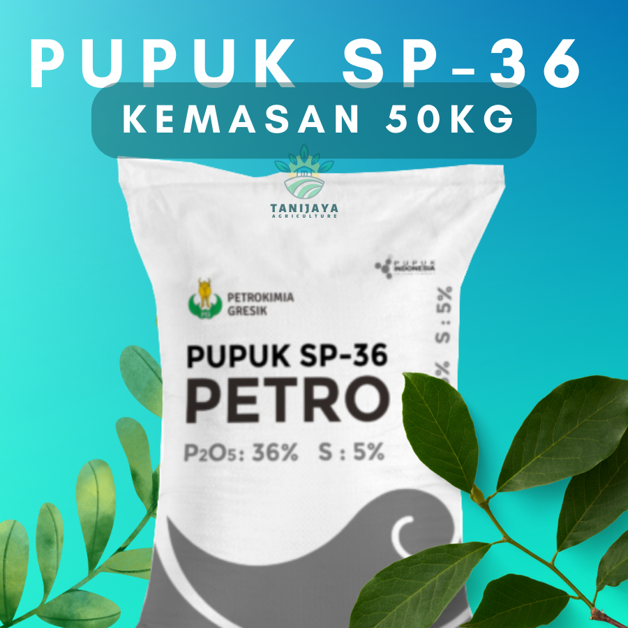 Pupuk Sp 36 50Kg || Pupuk Petro || Mempercepat Panen || Pupuk Granul