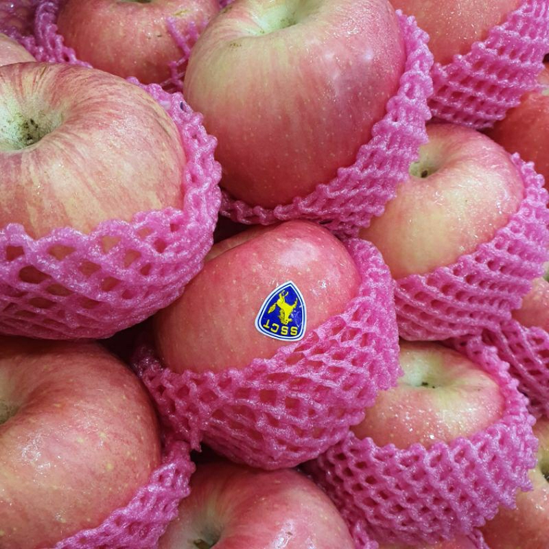 

Apel Fuji Premium SSCT 1kg