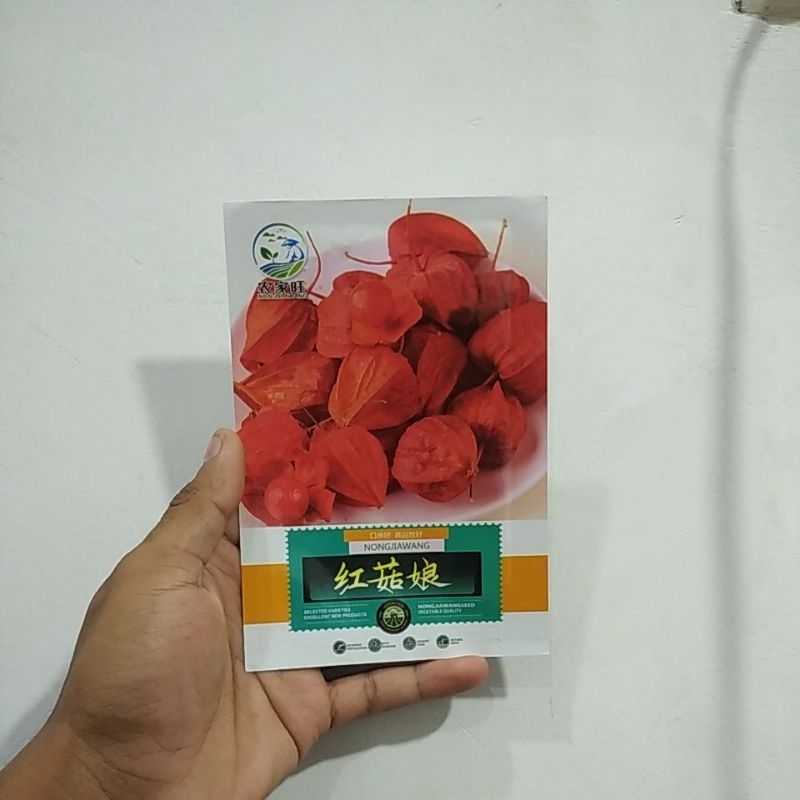 Benih ciplukan merah dan kuning jumbo,asli kemasan pabrikan