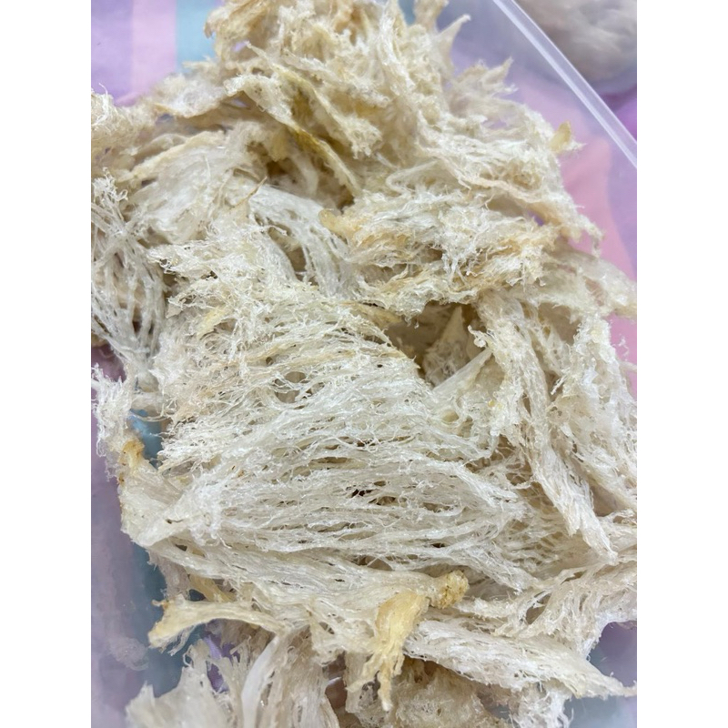 

Sarang Burung Wallet Patahan